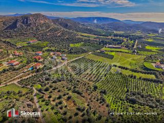 Αγροτεμάχια 7.375 τ.μ. για πώληση, Αργολίδα, Ναύπλιο-thumb-13