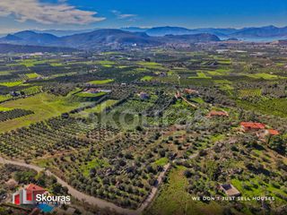 Αγροτεμάχια 7.375 τ.μ. για πώληση, Αργολίδα, Ναύπλιο-thumb-9