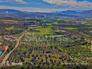 Αγροτεμάχια 7.375 τ.μ. για πώληση, Αργολίδα, Ναύπλιο-thumb-10