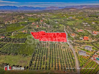 Αγροτεμάχια 7.375 τ.μ. για πώληση, Αργολίδα, Ναύπλιο-thumb-3