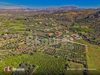 Αγροτεμάχια 7.375 τ.μ. για πώληση, Αργολίδα, Ναύπλιο-thumb-18