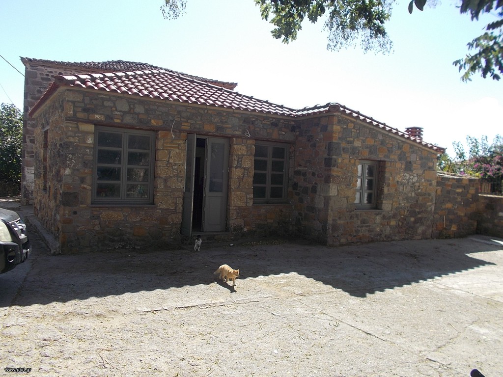 Κατάστημα 73 τ.μ. για πώληση, Ν. Λέσβου, Λήμνος - Μούδρος