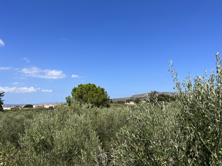 Οικόπεδο 4.071 τ.μ. προς πώληση, Ξηροστέρνι