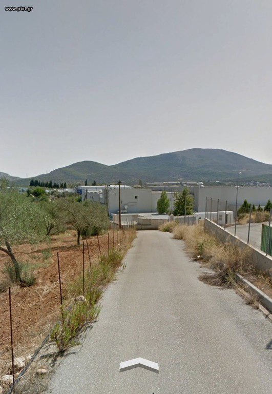 Αγροτεμάχια 11.859 τ.μ. προς πώληση, Ανθηδόνα