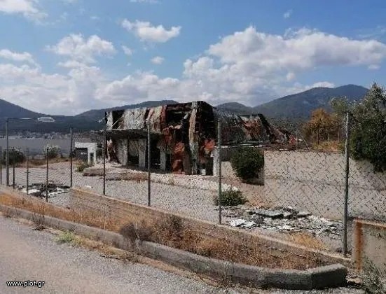 Αγροτεμάχια 11.859 τ.μ. προς πώληση, Ανθηδόνα