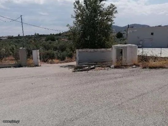 Αγροτεμάχια 11.859 τ.μ. προς πώληση, Ανθηδόνα