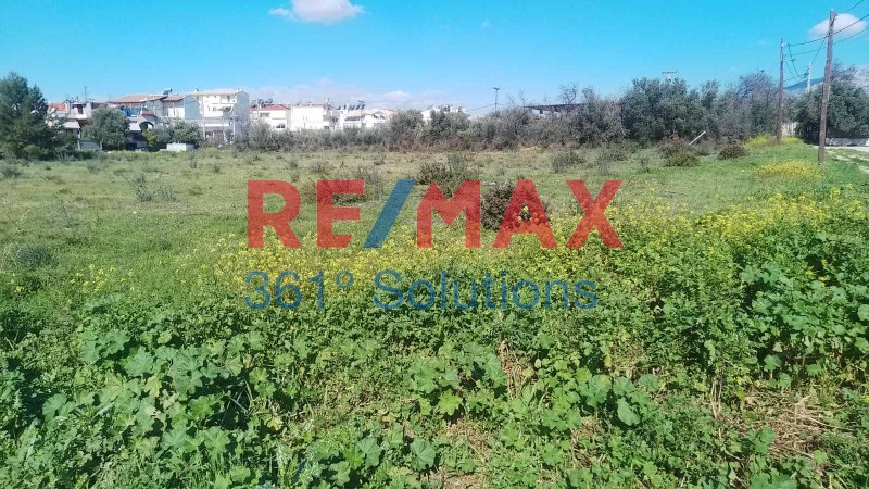 Αγροτεμάχια 4.349 τ.μ. πρός πώληση, Αθήνα - Ανατολικά Προάστια, Γέρακας