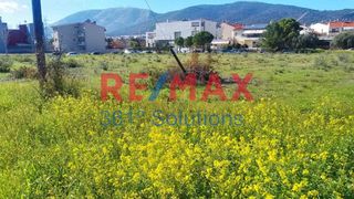 Αγροτεμάχια 4.349 τ.μ. για πώληση