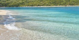 Οικόπεδο 20.000 τ.μ. για πώληση