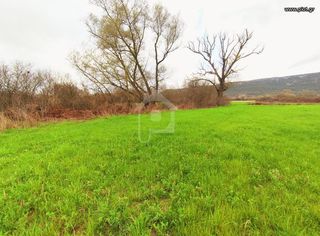 Οικόπεδο 20.000 τ.μ. για πώληση, Ν. Ιωαννίνων, Παμβωτίδα-thumb-31