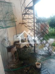 Κατάστημα 105 τ.μ. πρός ενοικίαση, Αχαΐα, Μεσσατίδα-thumb-6