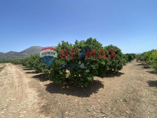 Αγροτεμάχια 5.001 τ.μ. για πώληση