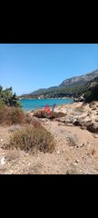 Αγροτεμάχια 119.000 τ.μ. για πώληση