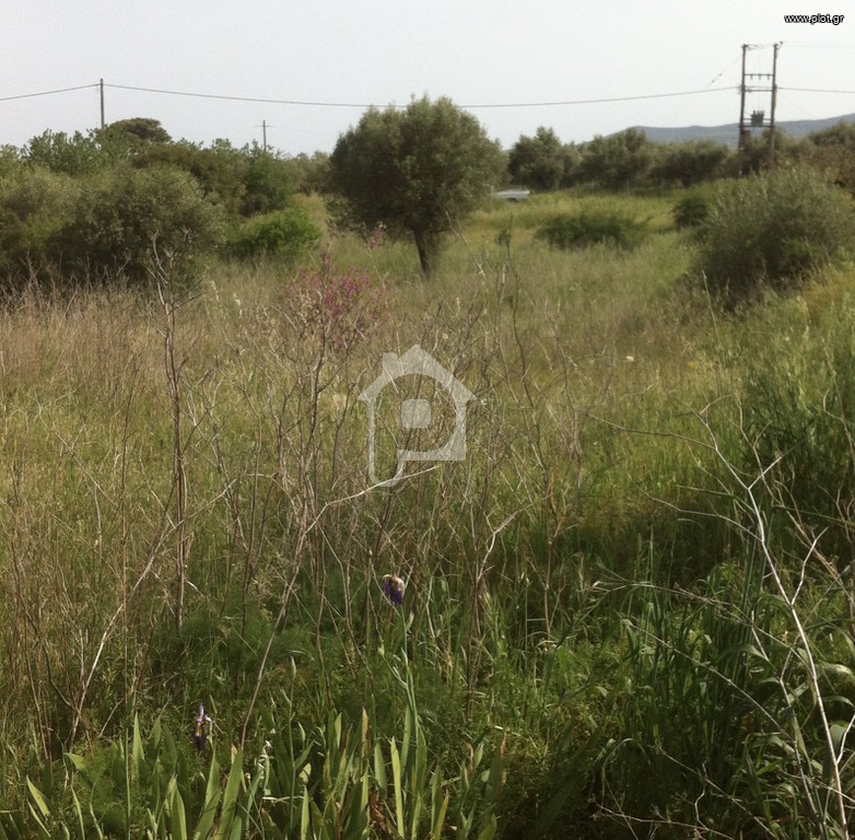 Αγροτεμάχια 2.200 τ.μ. πρός πώληση, Αττική - Υπόλοιπο, Μέγαρα
