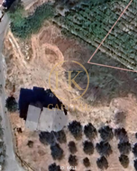 Οικόπεδο 819 τ.μ. προς πώληση, Βασιλείες
