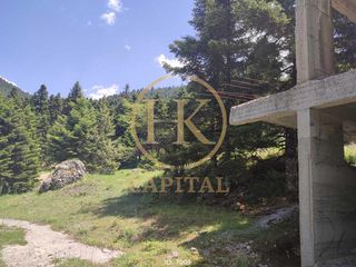 Οικόπεδο 4.000 τ.μ. για πώληση, Φωκίδα, Παρνασσός-thumb-13