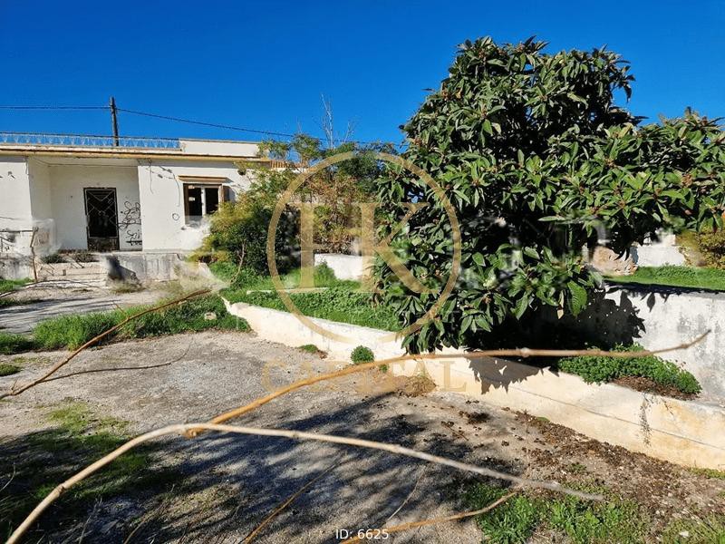Οικόπεδο 600 τ.μ. προς πώληση, Άγιος Δημήτριος Κορωπίου