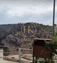 Land plot 340 sqm for sale