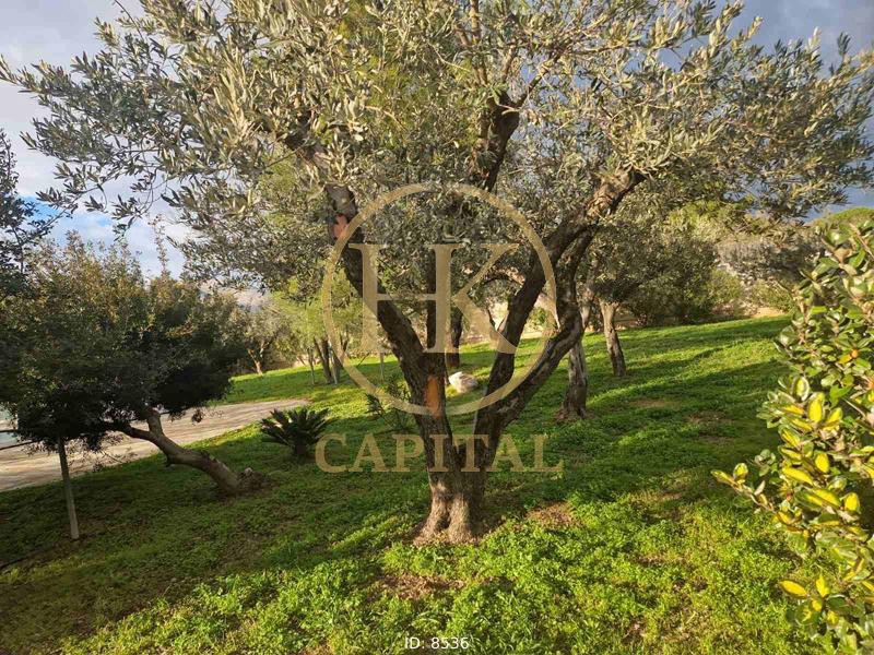Μονοκατοικία 514 τ.μ. προς πώληση, Αρί
