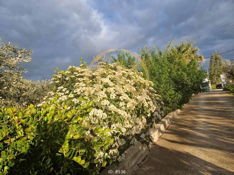 Μονοκατοικία 514 τ.μ. προς πώληση, Αρί