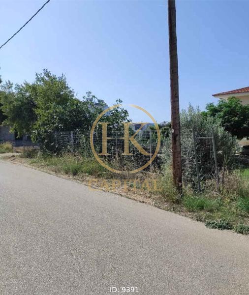 Οικόπεδο 411 τ.μ. προς πώληση, Παραλία Ιρίων