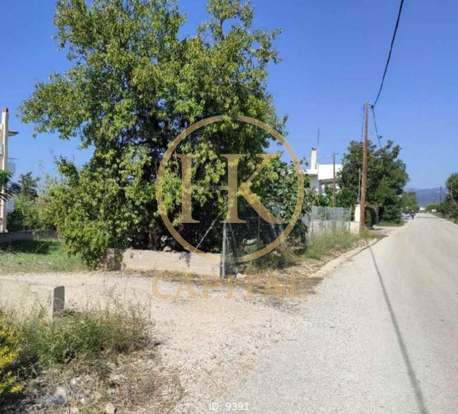 Οικόπεδο 411 τ.μ. προς πώληση, Παραλία Ιρίων