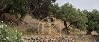 Οικόπεδο 5.700 τ.μ. για πώληση