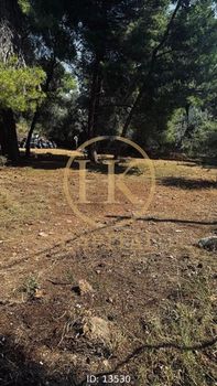 Land plot 500 sqm for sale