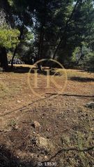 Οικόπεδο 500 τ.μ. για πώληση