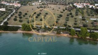 Οικόπεδο 74.557 τ.μ. για πώληση
