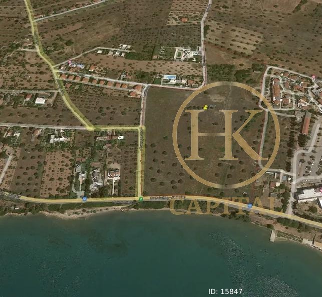 Οικόπεδο 74.557 τ.μ. πρός πώληση, Εύβοια, Ερέτρια