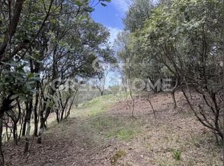 Οικόπεδο 4.100 τ.μ. για πώληση