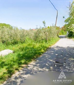 Οικόπεδο 3.000 τ.μ. προς πώληση