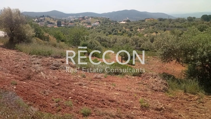 Οικόπεδο 4.200 τ.μ. πρός πώληση, Αθήνα - Ανατολικά Προάστια, Γραμματικό