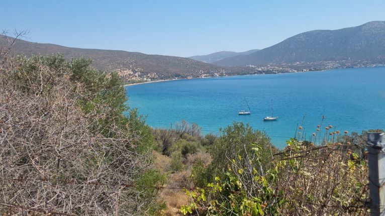 Οικόπεδο 1.200 τ.μ. για πώληση, Εύβοια, Στύρα