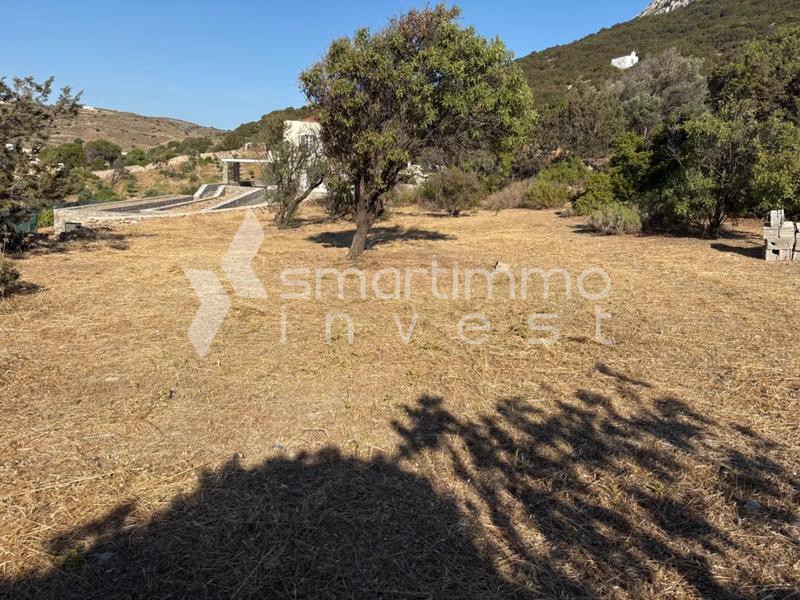 Οικόπεδο 2.500 τ.μ. πρός πώληση, Κυκλάδες, Σύρος