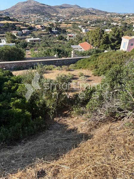 Οικόπεδο 2.500 τ.μ. πρός πώληση, Κυκλάδες, Σύρος