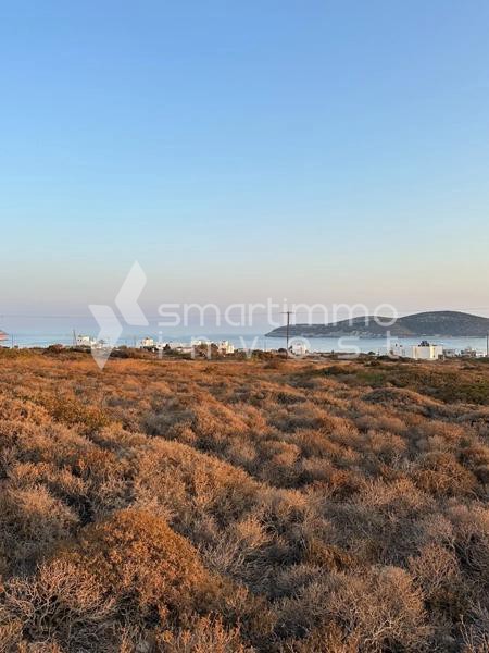 Οικόπεδο 1.000 τ.μ. πρός πώληση, Κυκλάδες, Αντίπαρος
