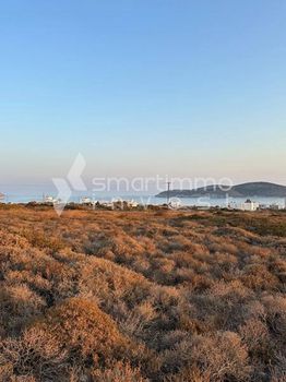Οικόπεδο 1.000 τ.μ. για πώληση
