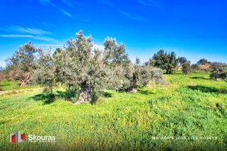 Αγροτεμάχια 5.800 τ.μ. προς πώληση, Πορτοχέλι-thumb-15