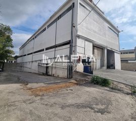 Business bulding 3.000 sqm for sale