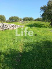 Οικόπεδο 4.200 τ.μ. για πώληση
