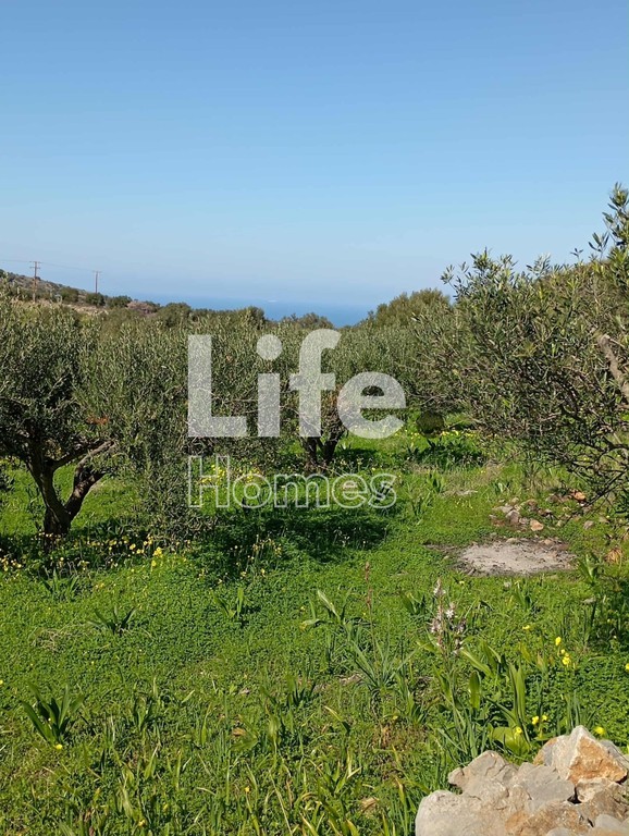 Οικόπεδο 4.200 τ.μ. προς πώληση, Ν. Λασιθίου, Νεάπολη