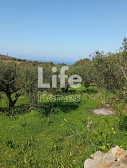 Οικόπεδο 4.200 τ.μ. για πώληση, Ν. Λασιθίου, Νεάπολη-thumb-2