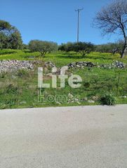 Οικόπεδο 4.200 τ.μ. για πώληση, Ν. Λασιθίου, Νεάπολη-thumb-5