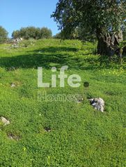 Οικόπεδο 4.200 τ.μ. για πώληση, Ν. Λασιθίου, Νεάπολη-thumb-6