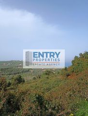 Οικόπεδο 6.350 τ.μ. για πώληση