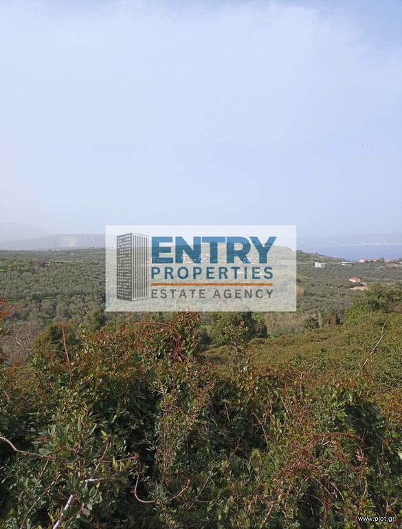 Οικόπεδο 6.350 τ.μ. προς πώληση, Τσιβαράς