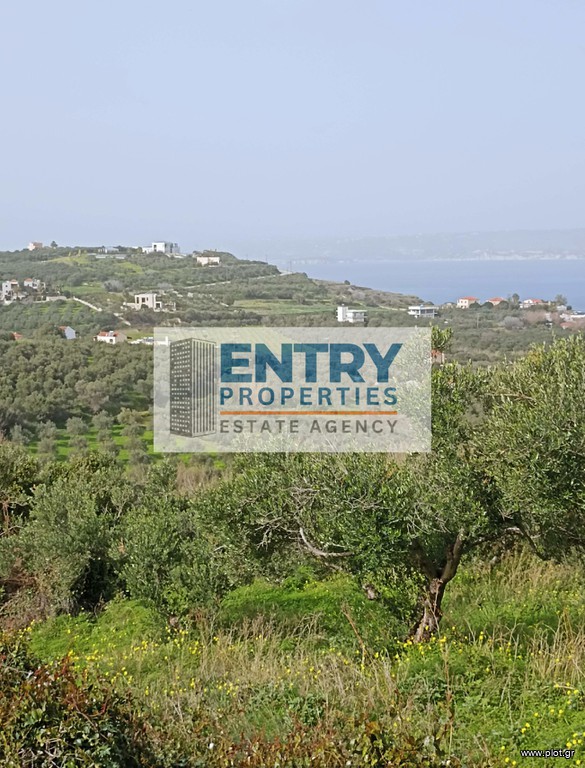 Οικόπεδο 6.350 τ.μ. προς πώληση, Τσιβαράς