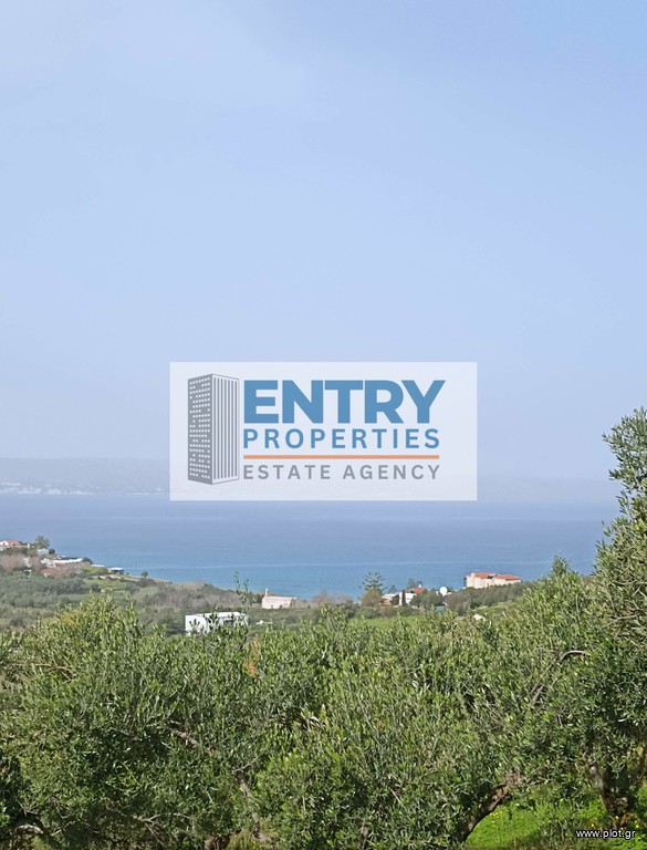 Οικόπεδο 6.350 τ.μ. προς πώληση, Τσιβαράς